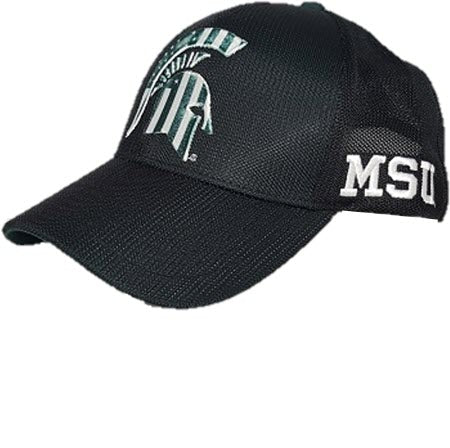 Michigan State Spartans Structured Green Flag