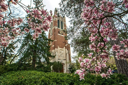 Michigan State Spartans Postcard - Beaumont Tower